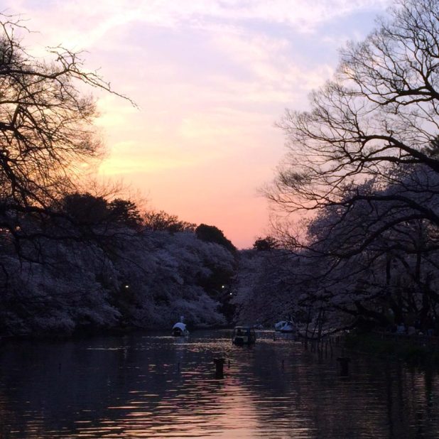 Landscape pond sunset iPhone7 Plus Wallpaper