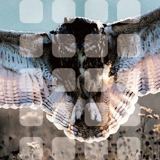 Animal bird owl shelf iPhone7 Plus Wallpaper