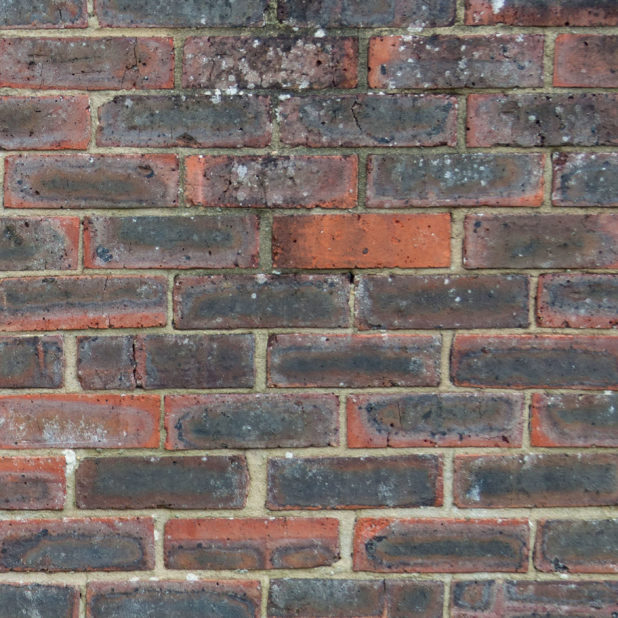 Pattern brick black vermilion iPhone7 Plus Wallpaper