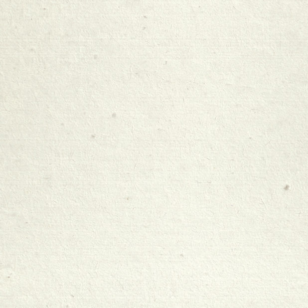 Waste paper white beige iPhone7 Plus Wallpaper