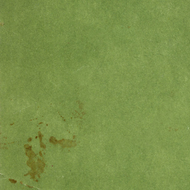 Waste paper green wrinkle iPhone7 Plus Wallpaper