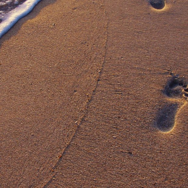 Landscape sand beach footprints iPhone7 Plus Wallpaper