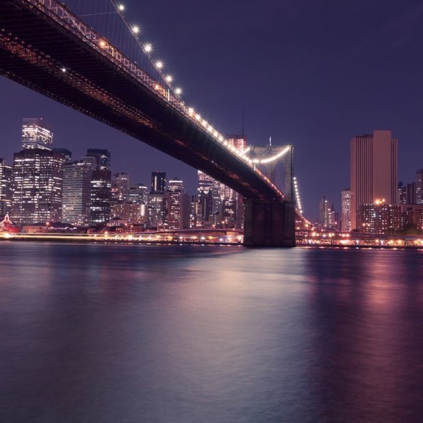 Landscape night scene harbor bridge iPhone7 Plus Wallpaper