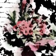 Flower iPhone8 Wallpaper