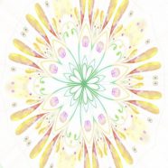 Flower circle iPhone8 Wallpaper