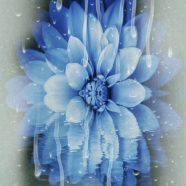 Flower blue iPhone8 Wallpaper