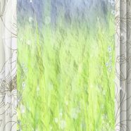 Grassy frame iPhone8 Wallpaper