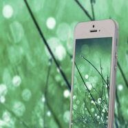 smartphone green iPhone8 Wallpaper