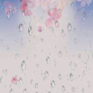 Cherry rain iPhone8 Wallpaper
