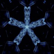 Starfish Blue iPhone8 Wallpaper