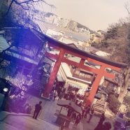 Torii shrine iPhone8 Wallpaper