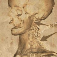 Skull Sepia iPhone8 Wallpaper