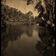 River sepia iPhone8 Wallpaper