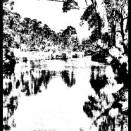 River monochrome iPhone8 Wallpaper