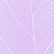 Pattern vein Purple iPhone8 Wallpaper