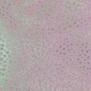 pattern Red iPhone8 Wallpaper