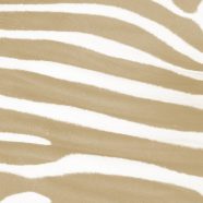 Zebra pattern yellow iPhone8 Wallpaper