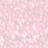 Leaf pattern Red iPhone8 Wallpaper