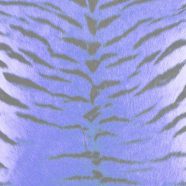 Fur pattern tiger Blue purple iPhone8 Wallpaper