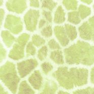 Fur pattern Yellow green iPhone8 Wallpaper