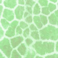 Fur pattern Green iPhone8 Wallpaper