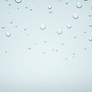 Natural water drops iPhone8 Wallpaper