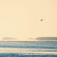 Air-sea landscape iPhone8 Wallpaper