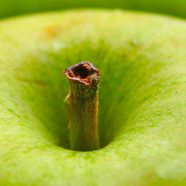 Green apple fruit blur iPhone8 Wallpaper