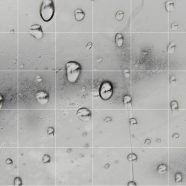 Water droplets window monochrome borders shelf iPhone8 Wallpaper