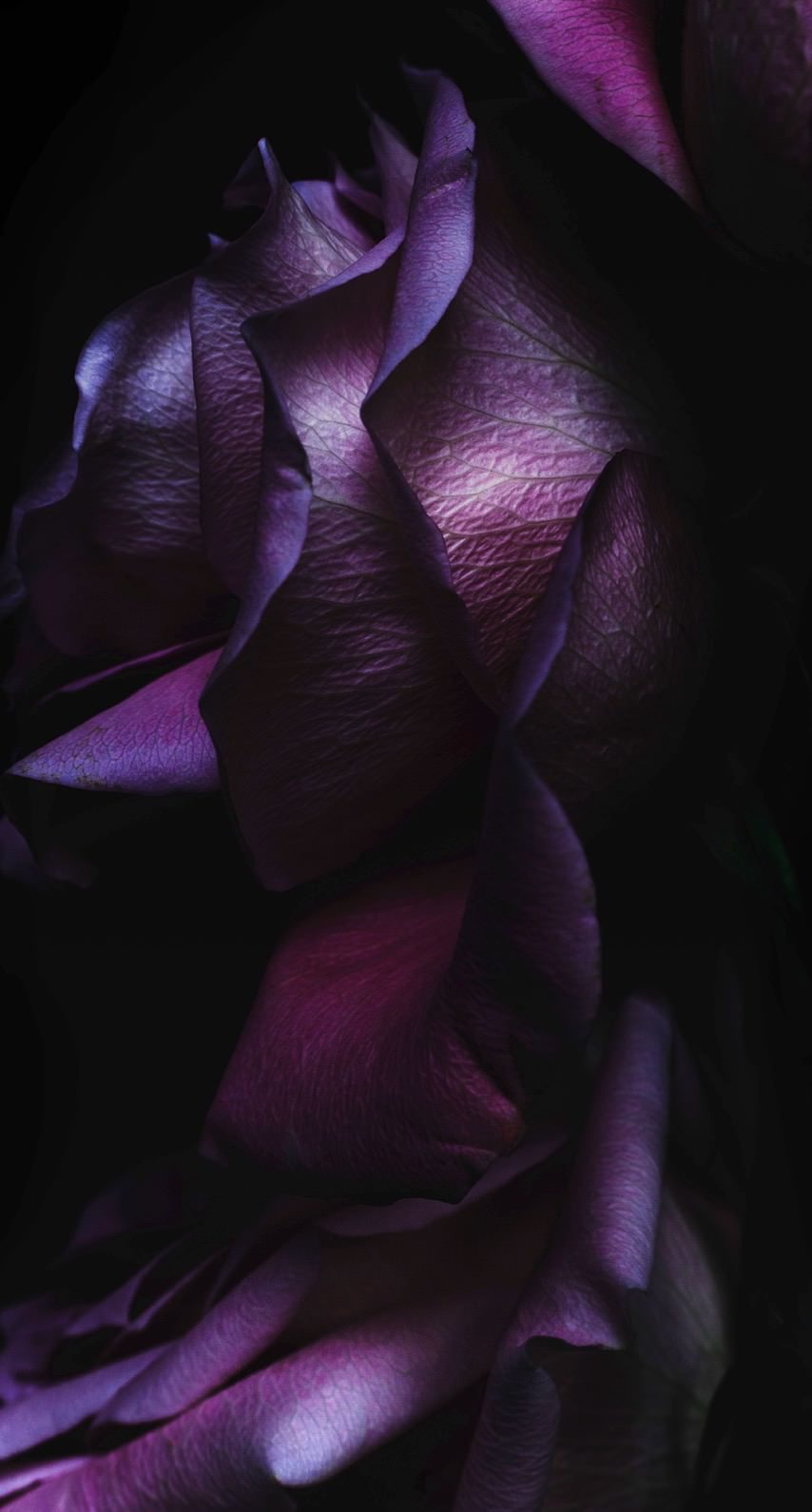 Black purple cool iOS9 | wallpaper.sc iPhone8