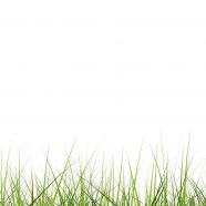 Cool lawn green iPhone8 Wallpaper