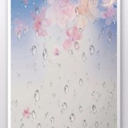 Cherry rain iPhone8 Wallpaper