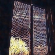 Window dusk iPhone8 Wallpaper