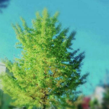 Tree Landscape iPhone8 Wallpaper