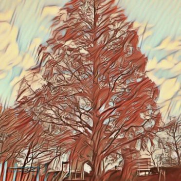 tree park iPhone8 Wallpaper