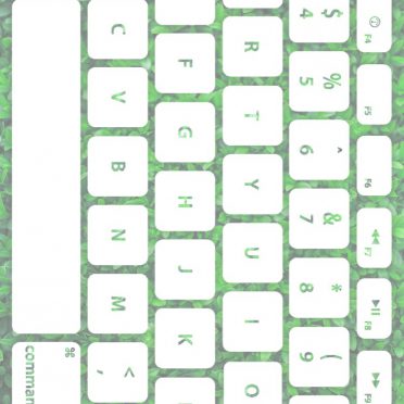 Leaf Keyboard Green white iPhone8 Wallpaper