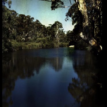 River nature iPhone8 Wallpaper