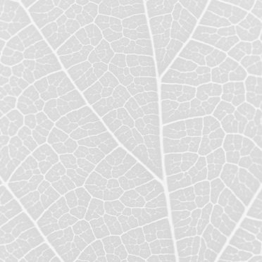 Pattern vein Gray iPhone8 Wallpaper