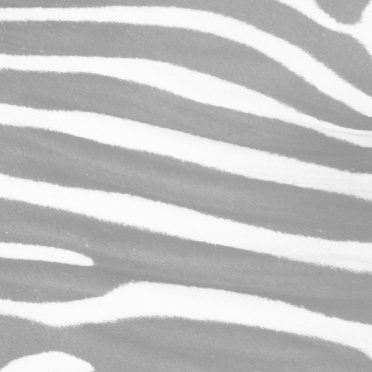 Zebra pattern Gray iPhone8 Wallpaper