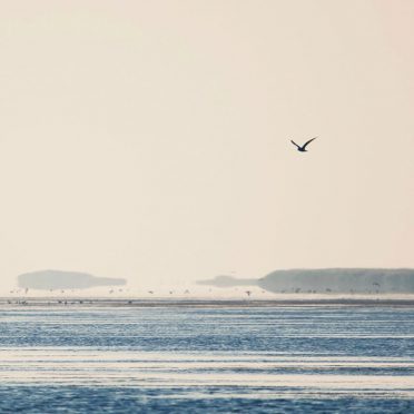Air-sea landscape iPhone8 Wallpaper