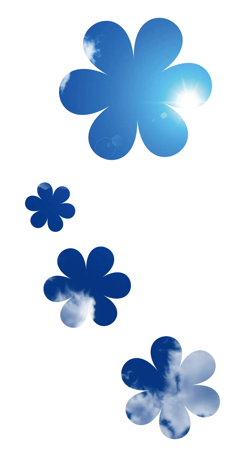 White Blue Cute Flower Simple Wallpaper Sc Iphone8