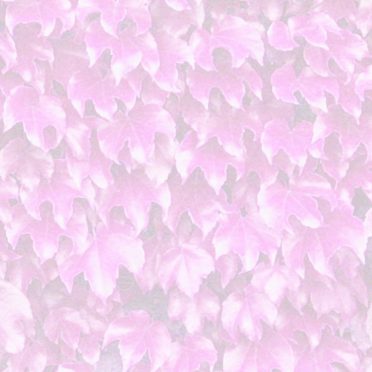 Leaf pattern Pink iPhone8 Wallpaper