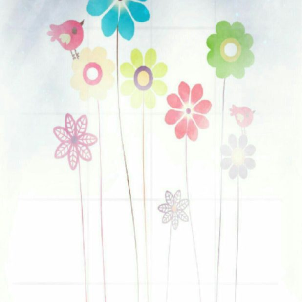 Wallpaper flower bird iPhone8Plus Wallpaper
