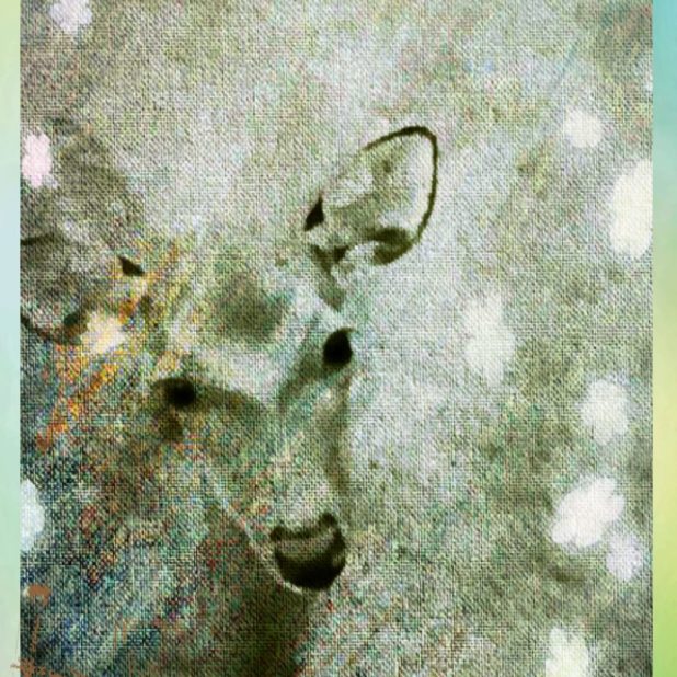 Deer bird iPhone8Plus Wallpaper
