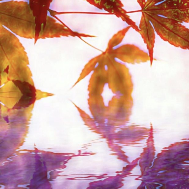 Autumn leaves lake iPhone8Plus Wallpaper