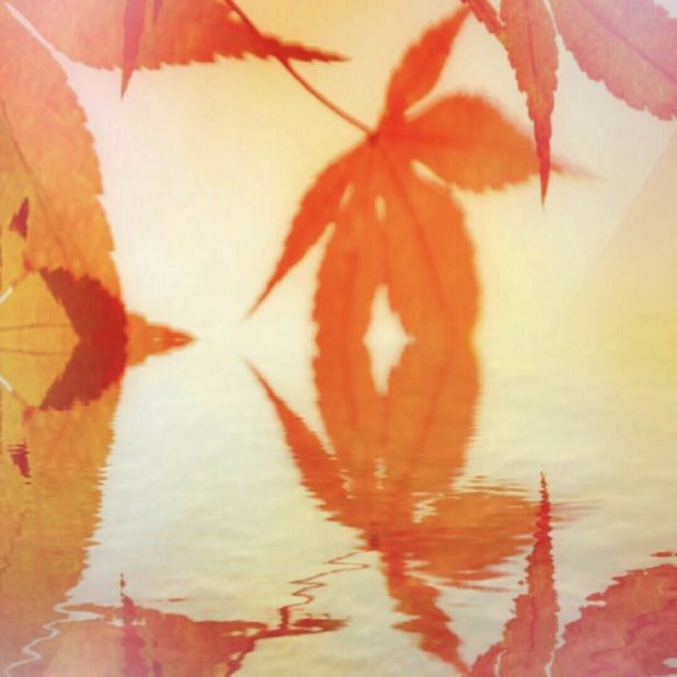 Autumn leaves lake iPhone8Plus Wallpaper