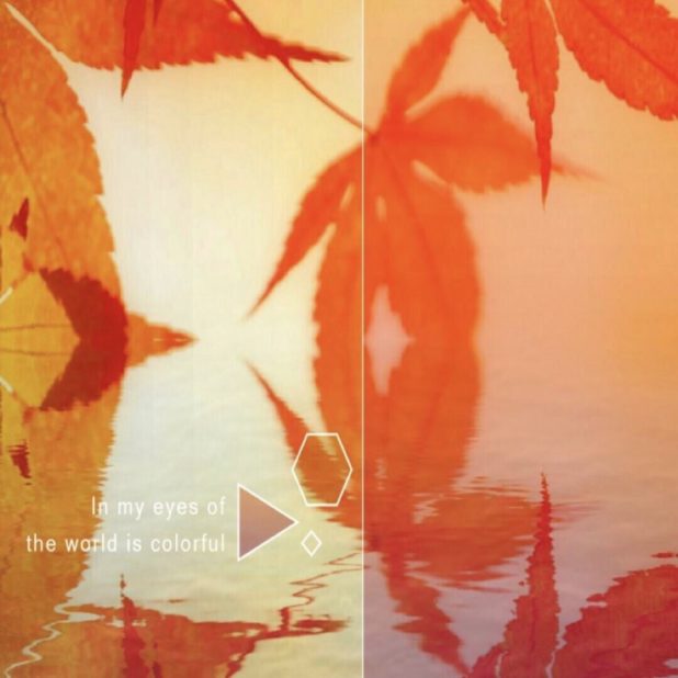 Autumn foliage water surface iPhone8Plus Wallpaper
