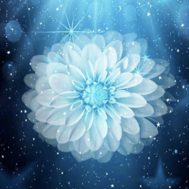 Flower Space iPhone8Plus Wallpaper