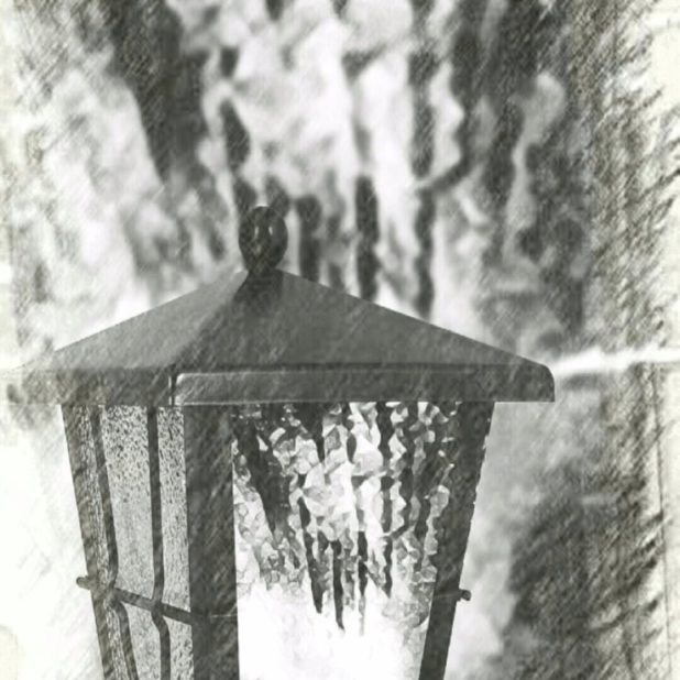 Lantern black and white iPhone8Plus Wallpaper
