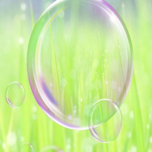 Grassy bubble iPhone8Plus Wallpaper